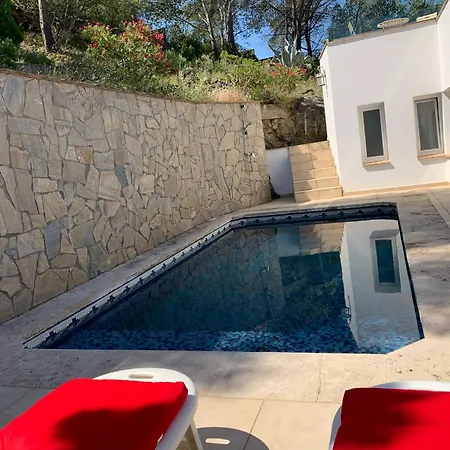 Agi Almadraba Holiday home Roses